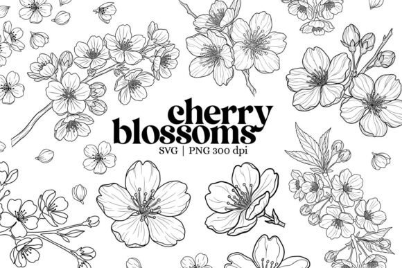 Download Botanical Cherry Blossom Outline Clipart - Outline Collection