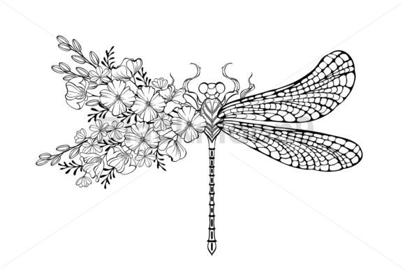 Download Dragonfly with Contour California Poppy - Pop Collection